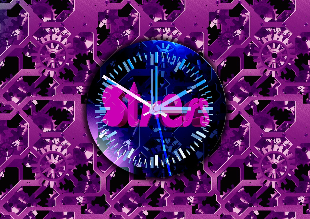 365节视频课，把一年过成一场持续进阶的成长之旅